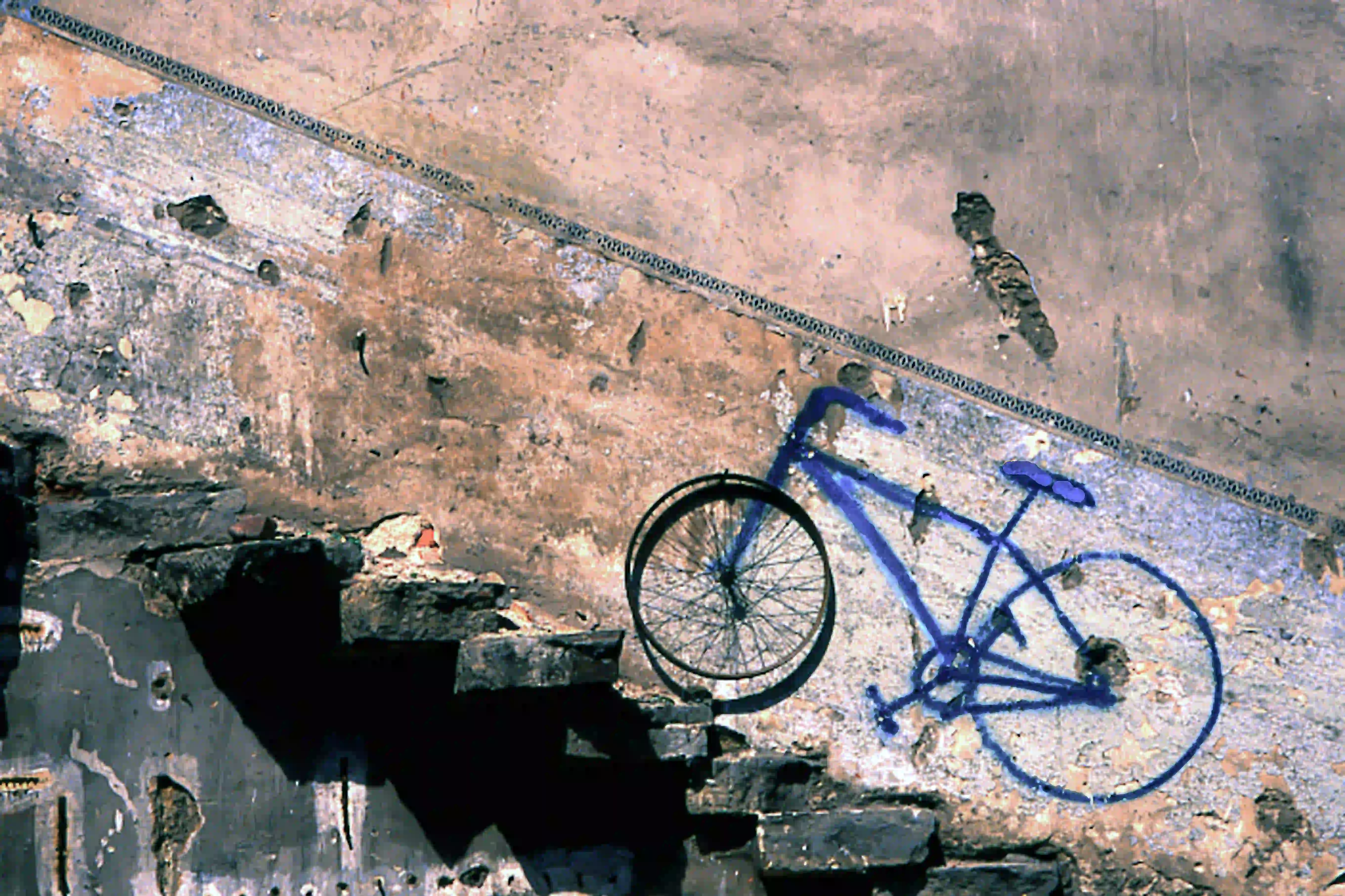 Achim Brückner (2003) - Wandlung. Dieses Bild belegte einen ersten Preis beim DREWAG-Fotowettbewerb 2003 zum Thema 'Wandlungen'. 