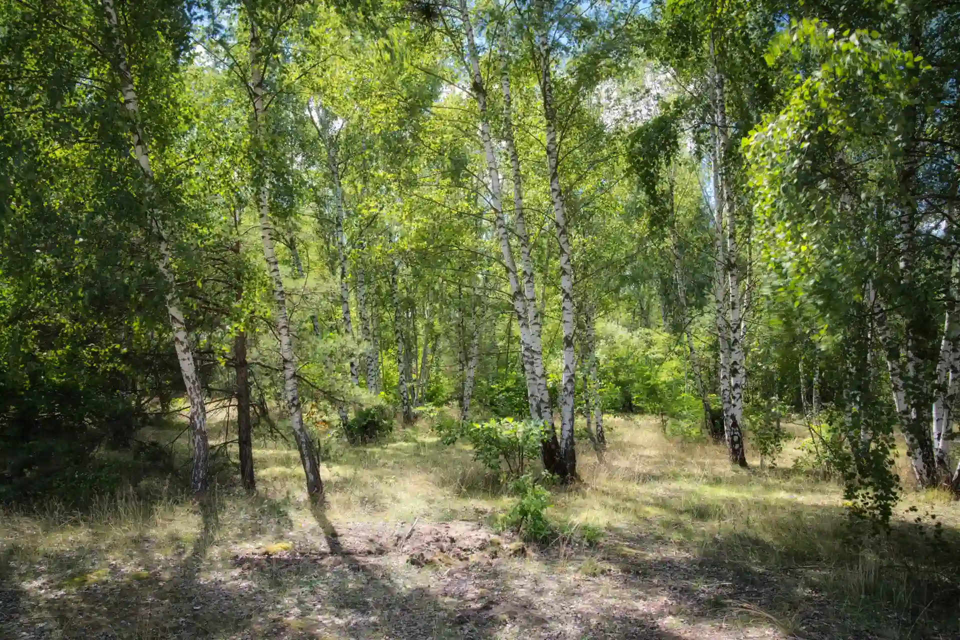 Wanderung über den Heller zur Gartenstadt