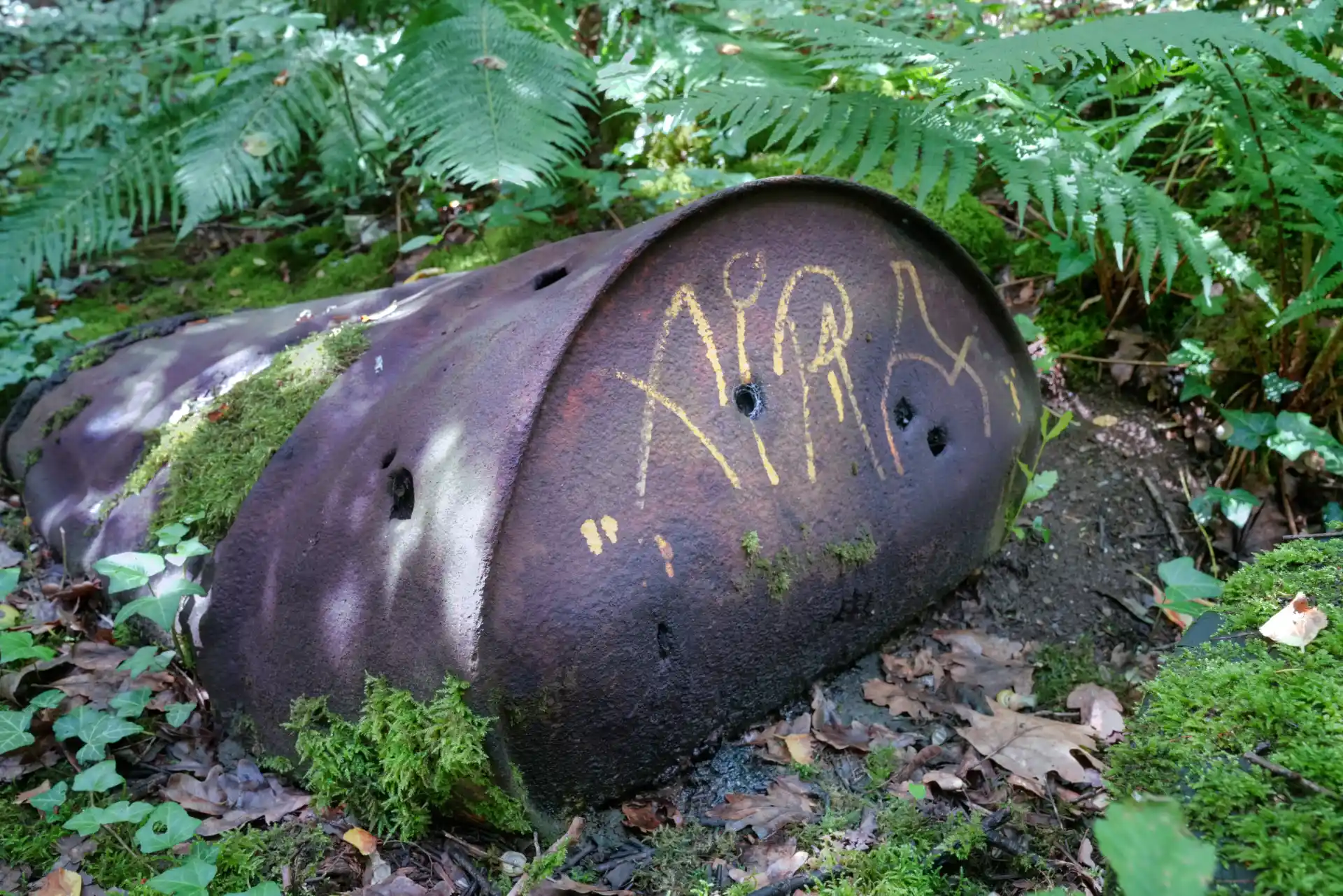 Wanderung über den Heller zur Gartenstadt