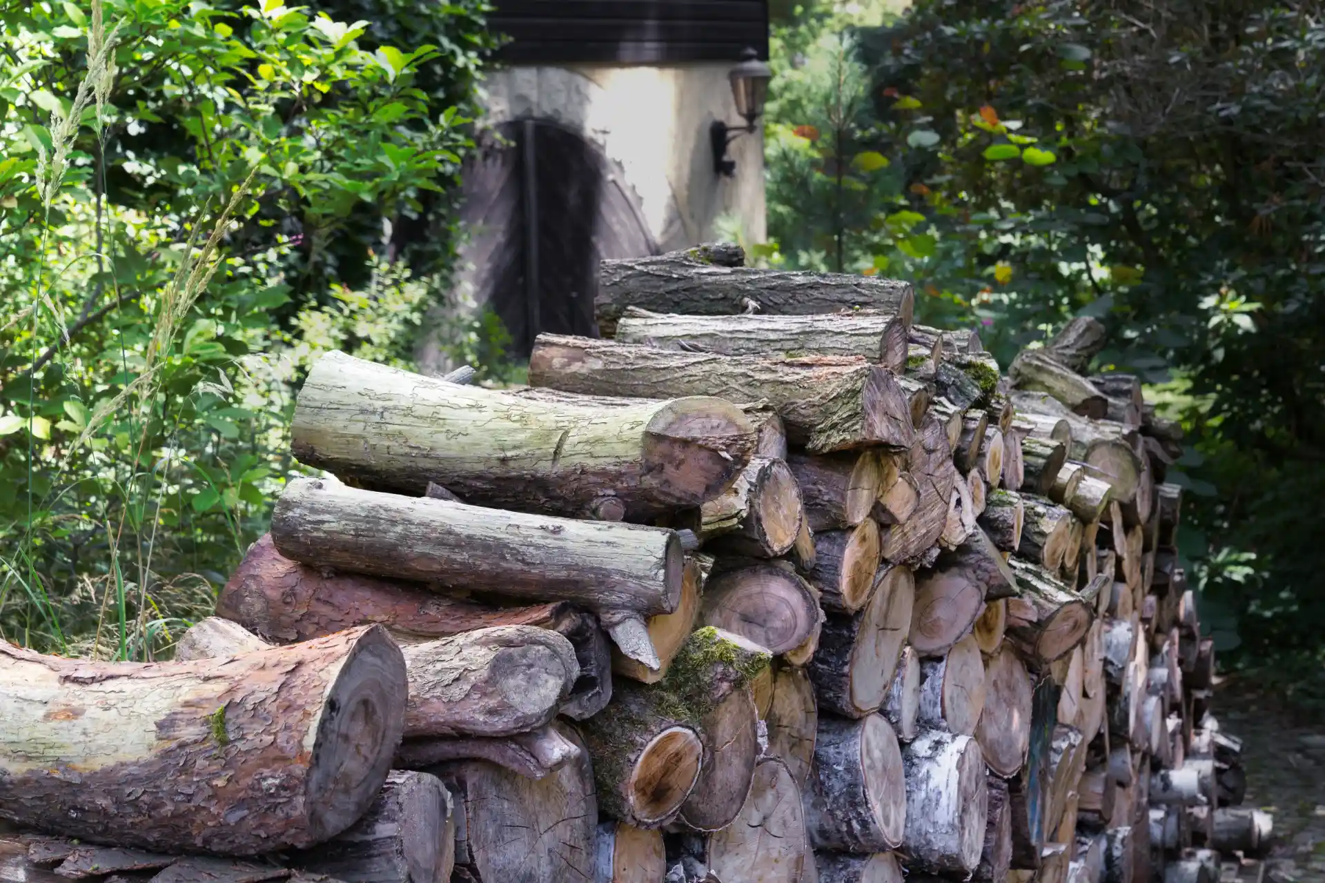 Wanderung über den Heller zur Gartenstadt