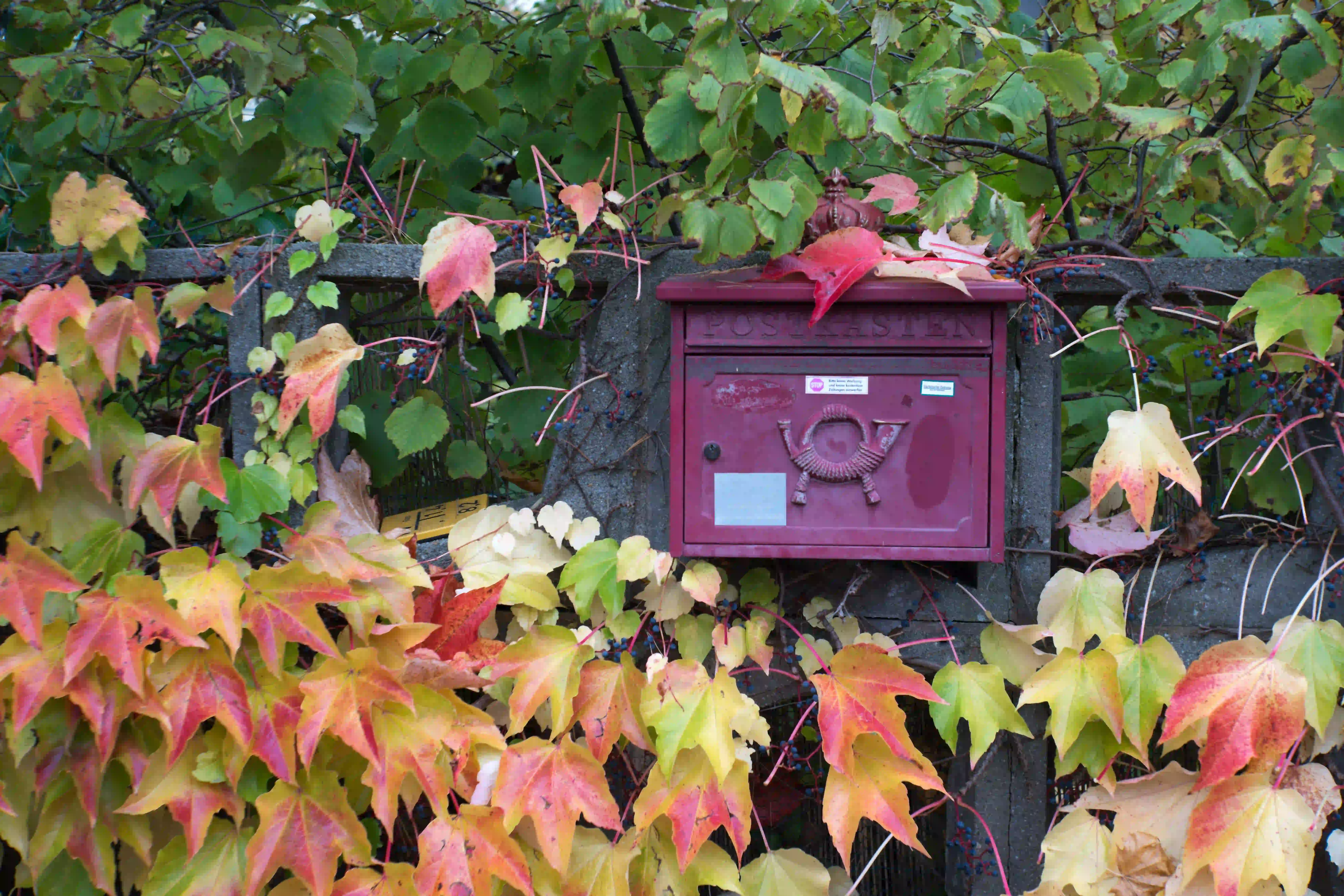 Herbstmomente