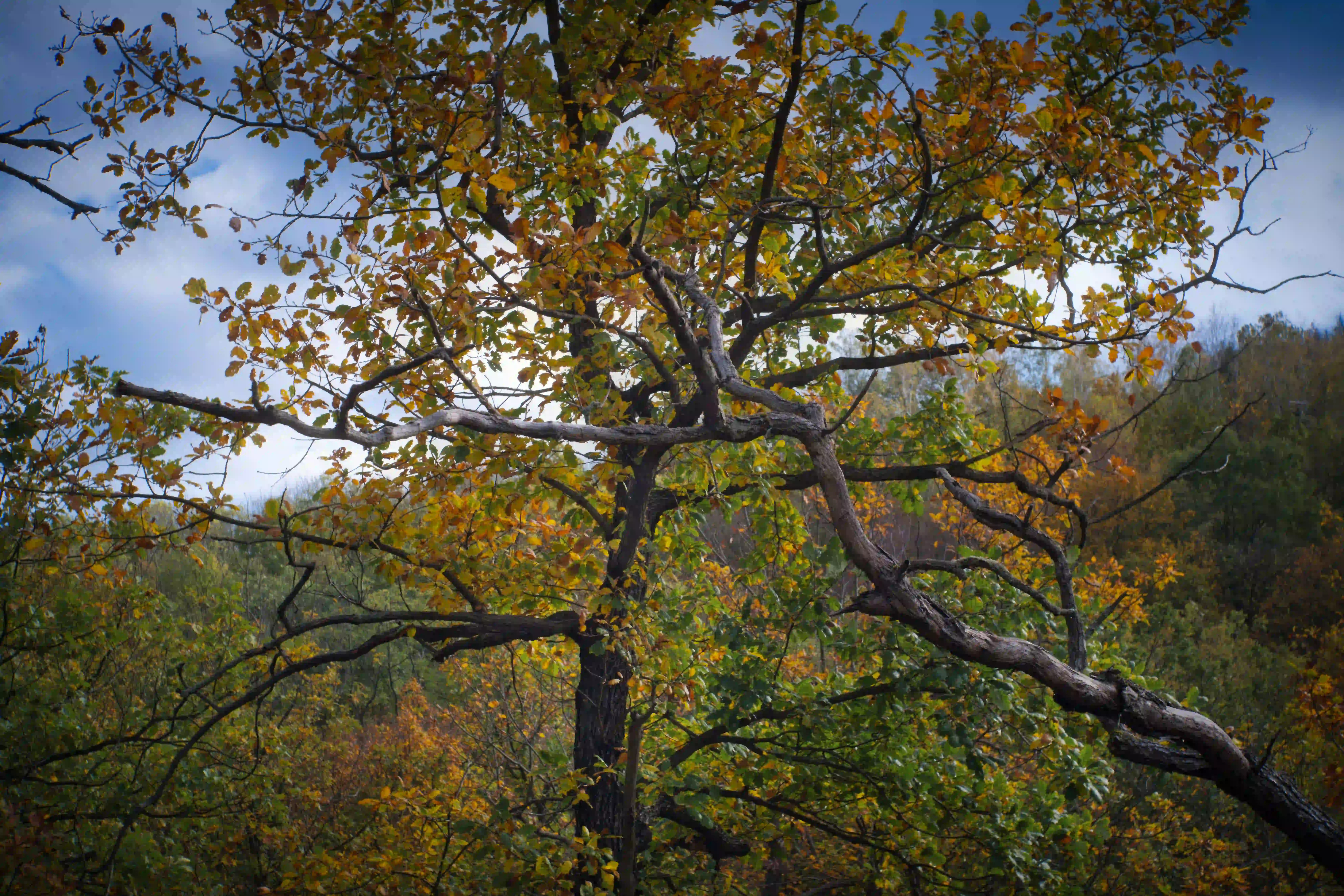 Herbstmomente