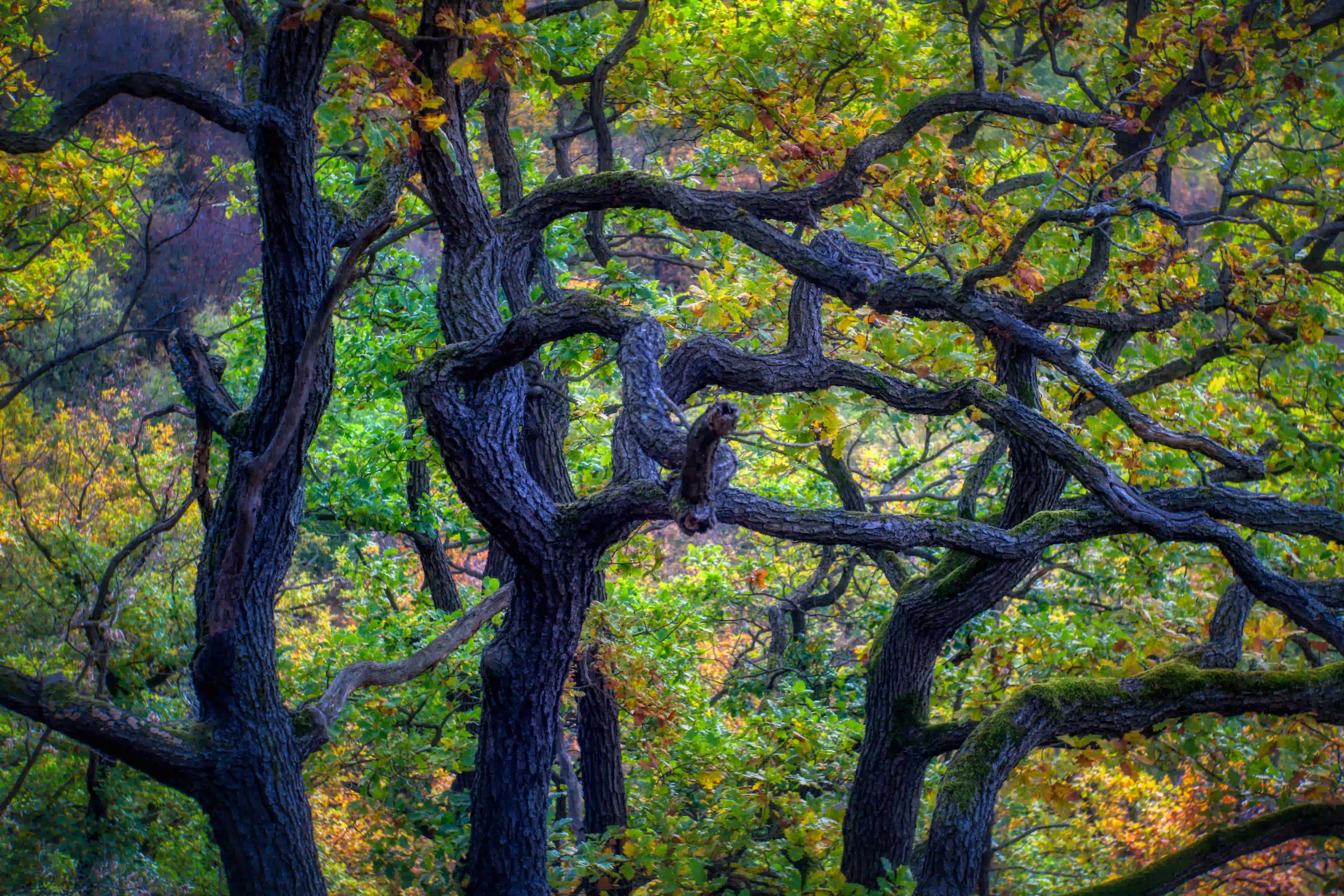Herbstmomente