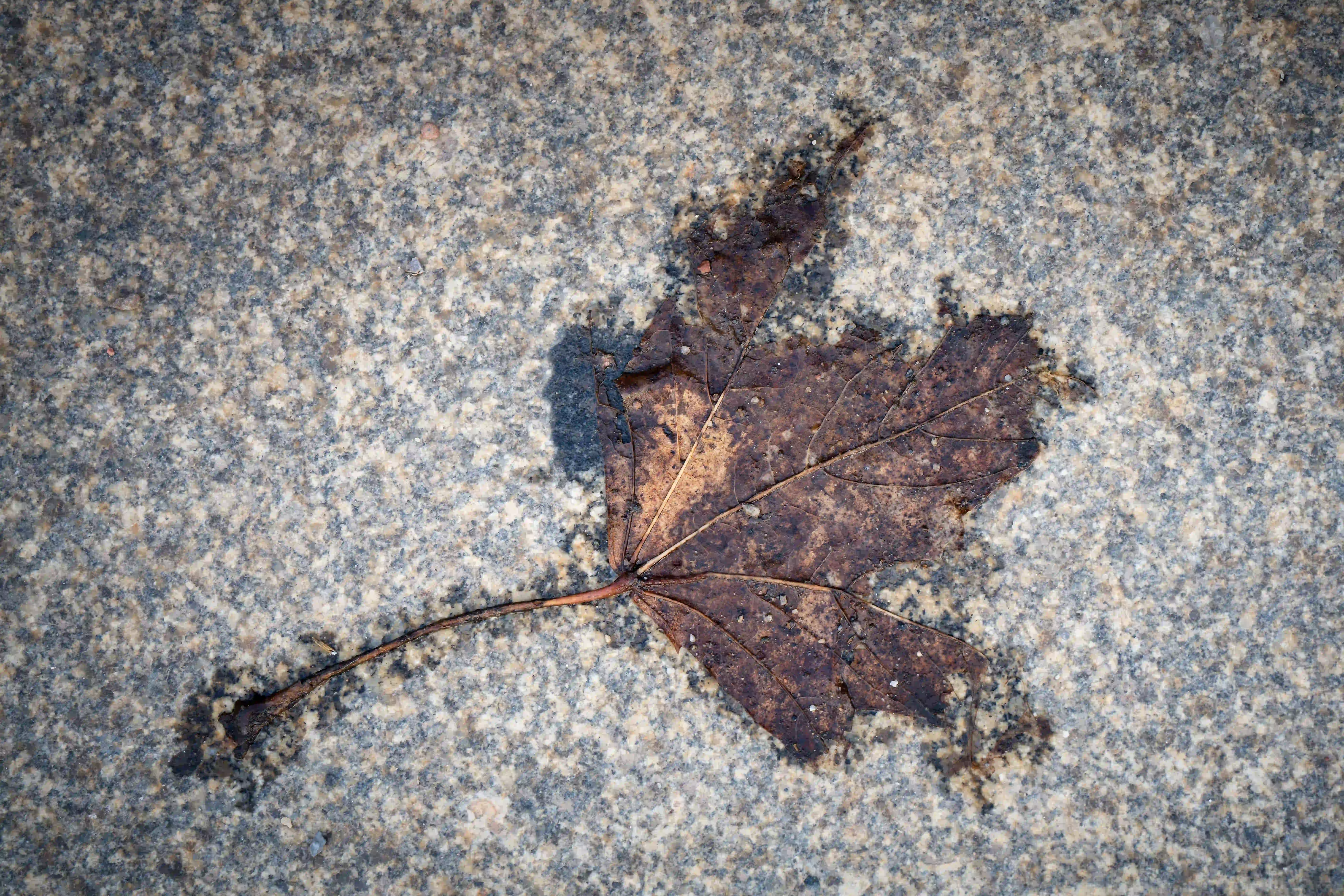 Herbstmomente