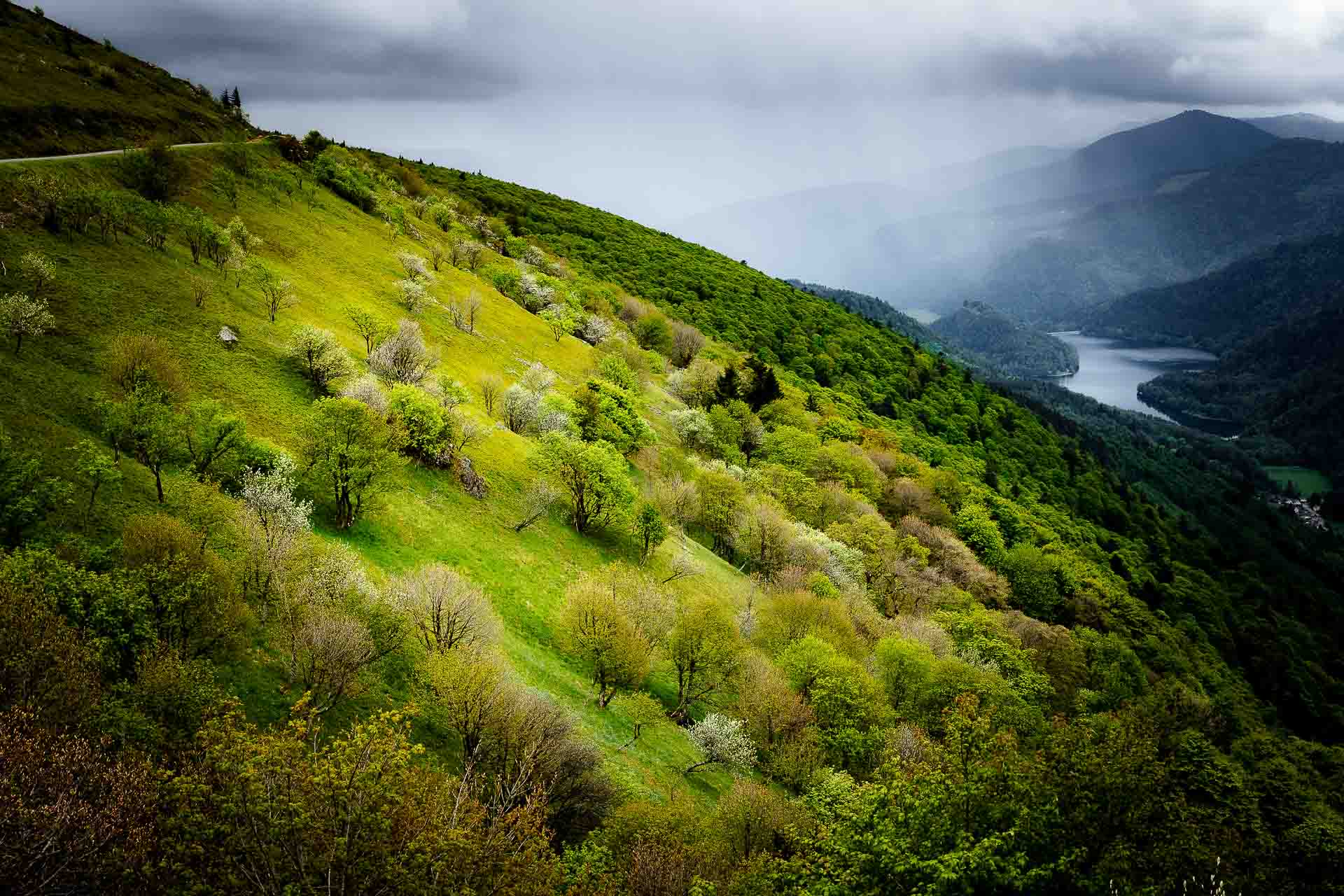 Wunderschönes Elsass