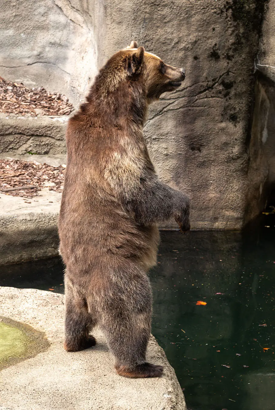 Cleveland Metroparks Zoo 2